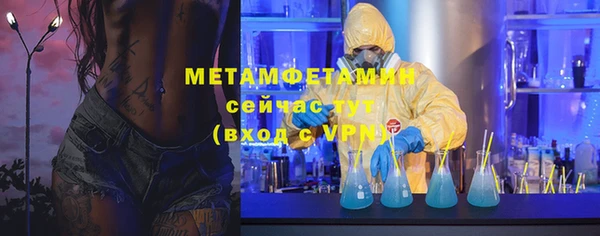 индика Бородино