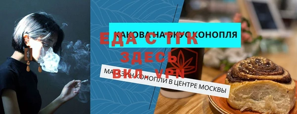 индика Бородино