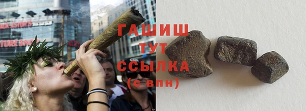 индика Бородино