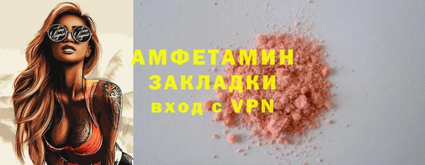 индика Бородино