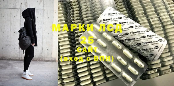 индика Бородино