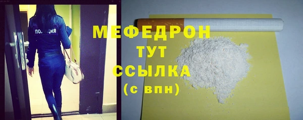 индика Бородино