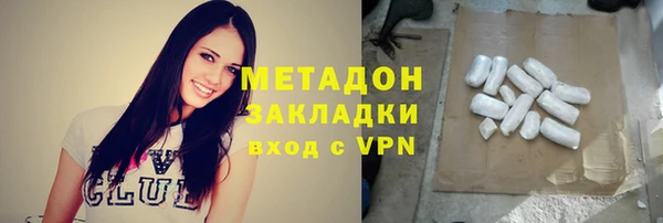 индика Бородино