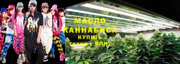 индика Бородино