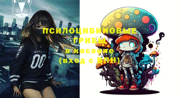 индика Бородино
