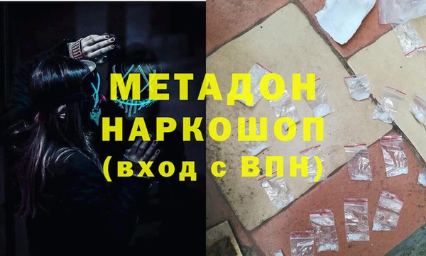 индика Бородино