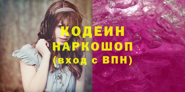 индика Бородино