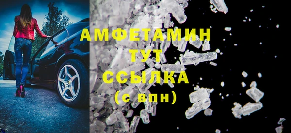 индика Бородино