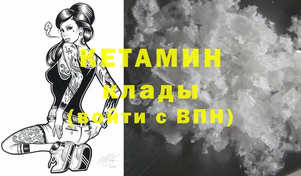 индика Бородино