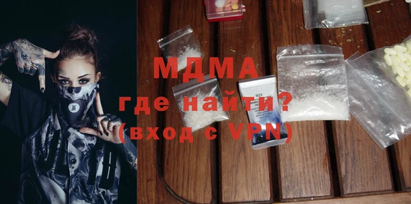 индика Бородино