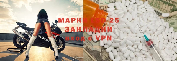 индика Бородино