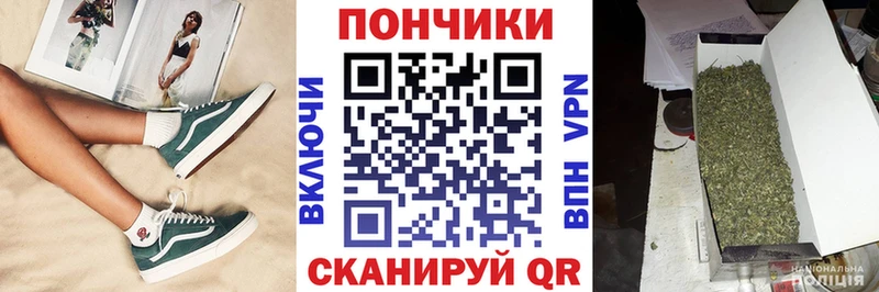 цены   Подольск  Бошки марихуана Amnesia 
